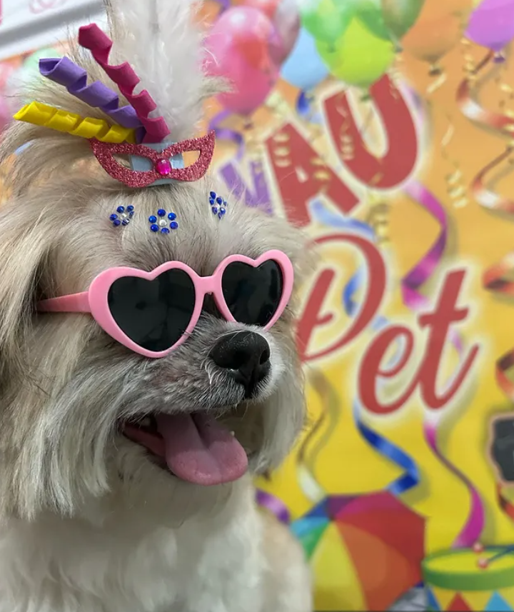 Pet com look exclusivo